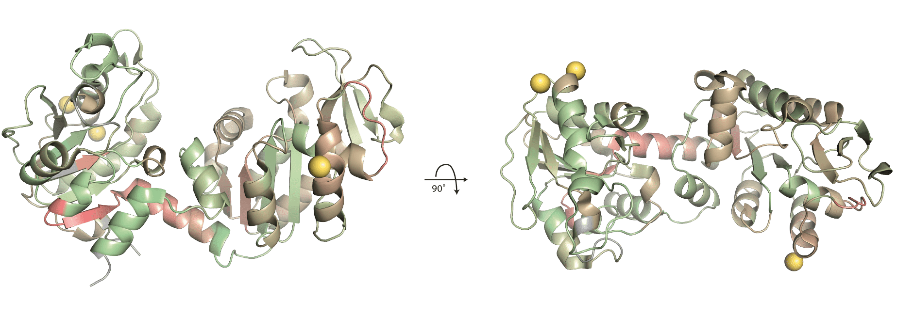 **pgk (1ZMR) with mapped amino acid scores.**