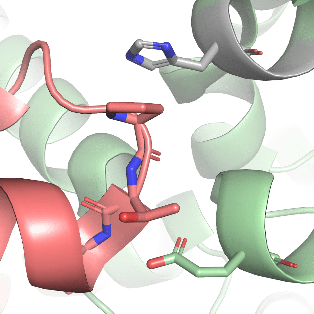 **ptsI (2HWG) binding interface of significantly chaging peptide.**